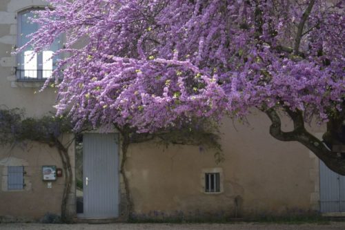 cour de la mairie